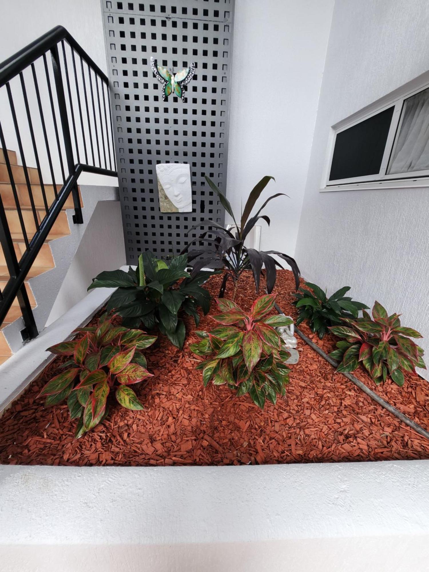 Villa Vaucluse Apartments Кернс Екстериор снимка